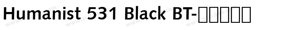 Humanist 531 Black BT字体转换